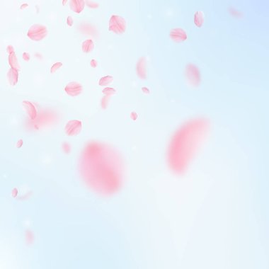 Sakura petals falling down. Romantic pink flowers corner. Flying petals on blue sky square backgroun clipart