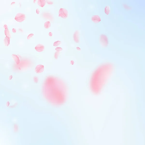 Sakura petals falling down. Romantic pink flowers corner. Flying petals on blue sky square backgroun — Stock Vector