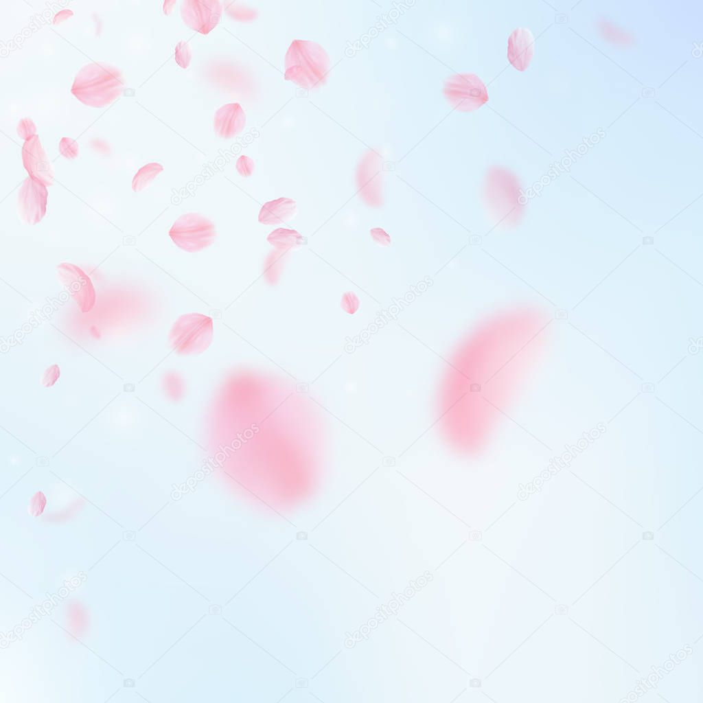 Sakura petals falling down. Romantic pink flowers corner. Flying petals on blue sky square backgroun