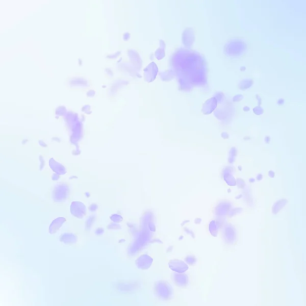 Pétalos de flores violetas cayendo. Bonita viñeta de flores románticas. Pétalo volador en azul cielo cuadrado b — Archivo Imágenes Vectoriales