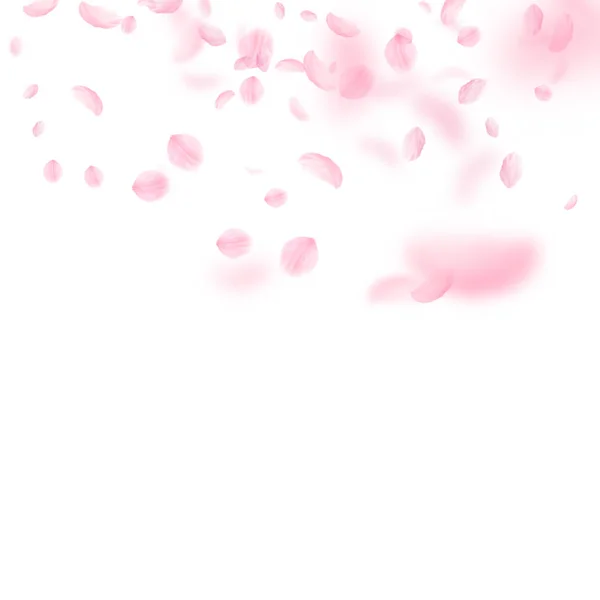 Sakura petals falling down. Romantic pink flowers gradient. Flying petals on white square background — Stock Vector