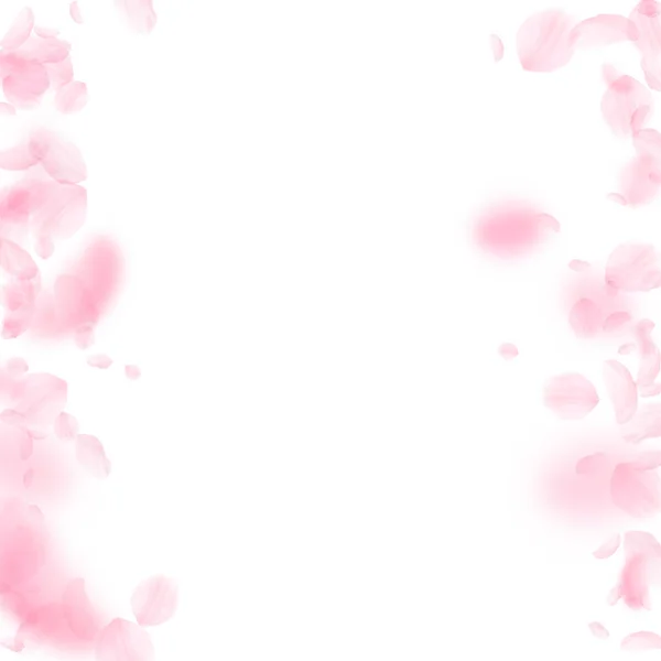 Pétalos Sakura cayendo. Románticas flores rosadas bordes. Pétalos voladores sobre fondo cuadrado blanco . — Vector de stock