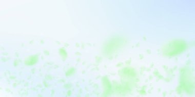 Yeşil çiçek yaprakları aşağı düşen. Silinmez romantik çiçek degrade. Mavi gökyüzü geniş üzerinde uçan petal