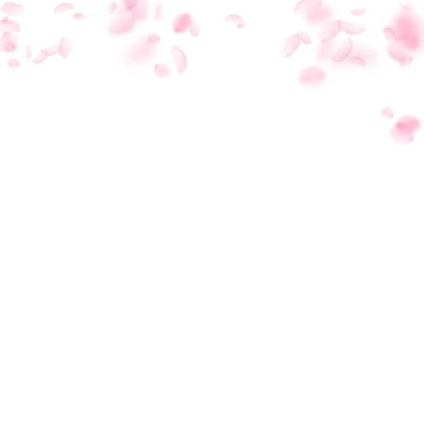 Spadające płatki. Romantyczne kwiaty różowy gradientu. Latający płatki na białym tle kwadratowych — Wektor stockowy