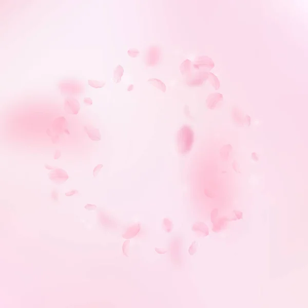 Pétalas Sakura a cair. Moldura de flores rosa romântico. Pétalas voadoras sobre fundo quadrado rosa. Lo —  Vetores de Stock