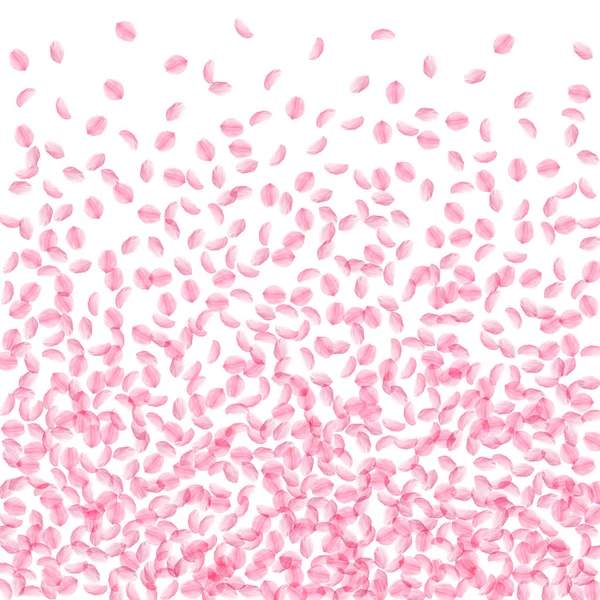 Pétalos Sakura cayendo. Románticas flores pequeñas y sedosas rosadas. Pétalos de cereza voladores gruesos. Fondo gr — Archivo Imágenes Vectoriales
