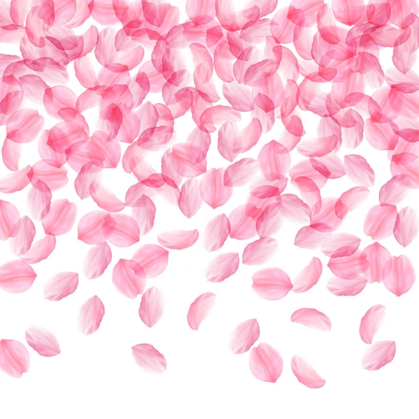 Сакура пелюстки падають. Романтичний рожеві шовковистою великі квіти. Товсті літаючих Вишневе пелюсток. Верхній gradien — стоковий вектор