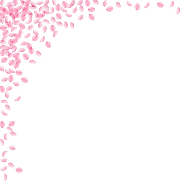 Лепестки Сакуры падают. Романтические розовые шелковистые маленькие цветы. Толстые летающие лепестки вишни. Квадрат — стоковый вектор