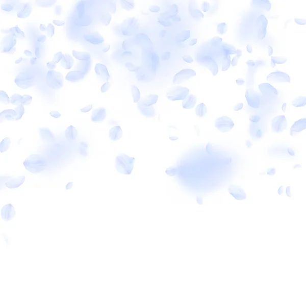 กลีบดอกไม้สีฟ้าอ่อนตกลงมา ดอกไม้โรแมนติกหรูหรา ฝนตก กลีบบินบนสีขาว — ภาพเวกเตอร์สต็อก