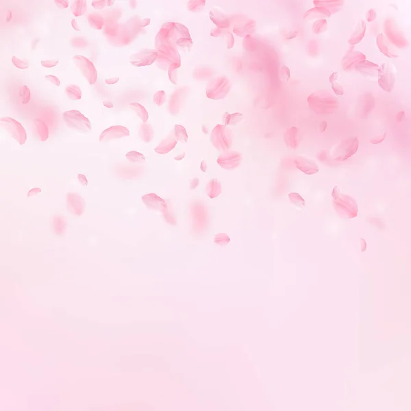 Sakura kronblad faller ner. Romantisk rosa blommor lutning. Flygande blomblad på rosa fyrkantig bakgrund. — Stock vektor