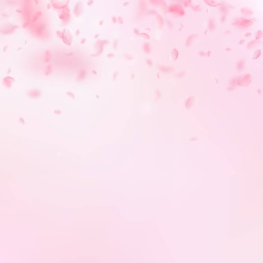 Sakura yaprakları aşağı düşen. Romantik pembe çiçekler degrade. Pembe kare zemin üzerinde uçan yaprakları.