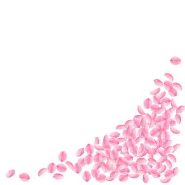 Sakura yaprakları aşağı düşen. Romantik pembe parlak orta çiçekler. Kalın uçan kiraz yaprakları. Alt 