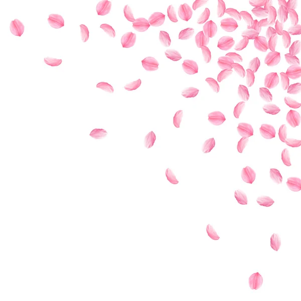 Сакура пелюстки падають. Романтичний рожеві яскраві квіти середнього. Товсті літаючих Вишневе пелюсток. Точкова діаграма — стоковий вектор