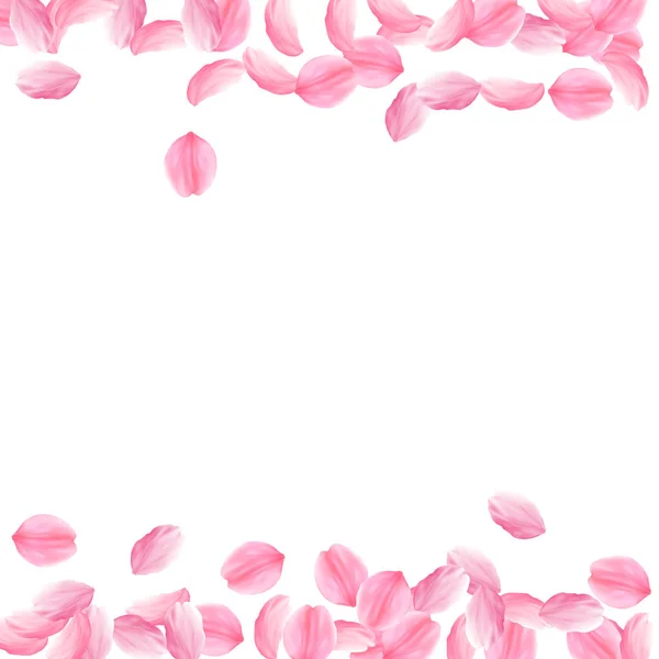 Лепестки Сакуры падают. Романтические розовые яркие большие цветы. Толстые летающие лепестки вишни. Границы am — стоковый вектор