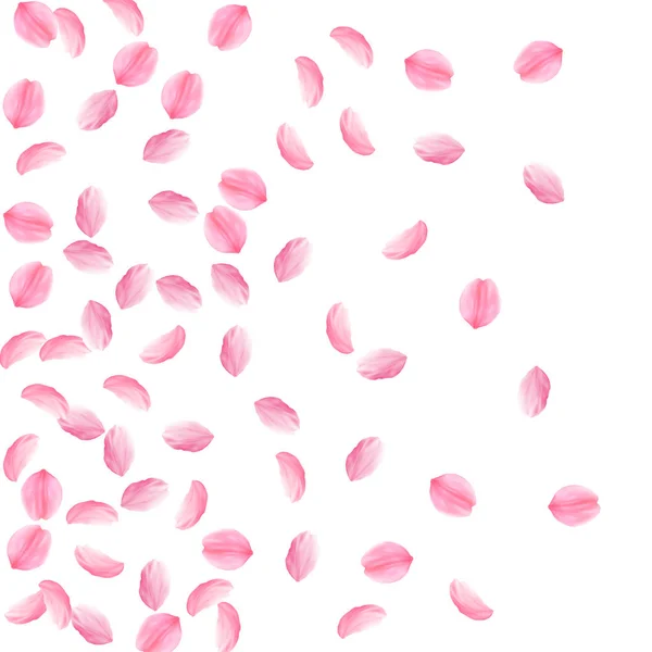 Лепестки Сакуры падают. Розовые шелковистые средние цветки. Летающие вишневые лепестки. Левый гр — стоковый вектор