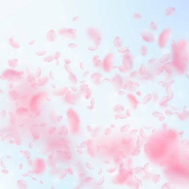 Sakura yaprakları aşağı düşen. Romantik pembe çiçekler degrade. Mavi gökyüzü kare backgro üzerinde uçan yaprakları