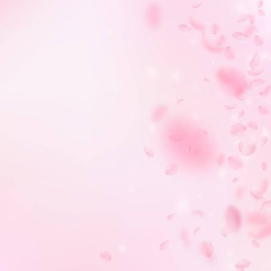 Sakura yaprakları aşağı düşen. Romantik pembe çiçekler degrade. Pembe kare zemin üzerinde uçan yaprakları.