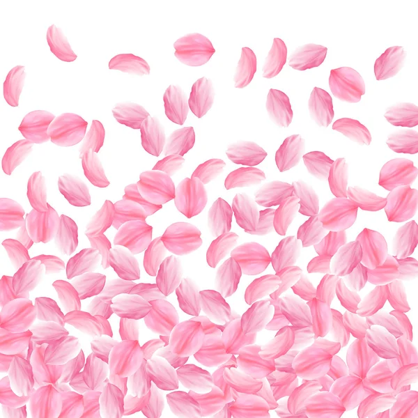 Сакура пелюстки падають. Романтичний рожеві яскраві великі квіти. Товсті літаючих Вишневе пелюсток. Нижній gra — стоковий вектор