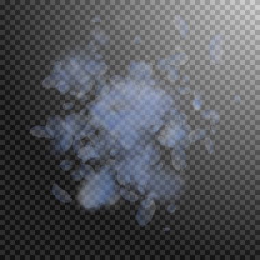 Aşağı düşen ışık mavi çiçek yaprakları. Hassas romantik çiçek patlama. Transpar üzerinde uçan petal