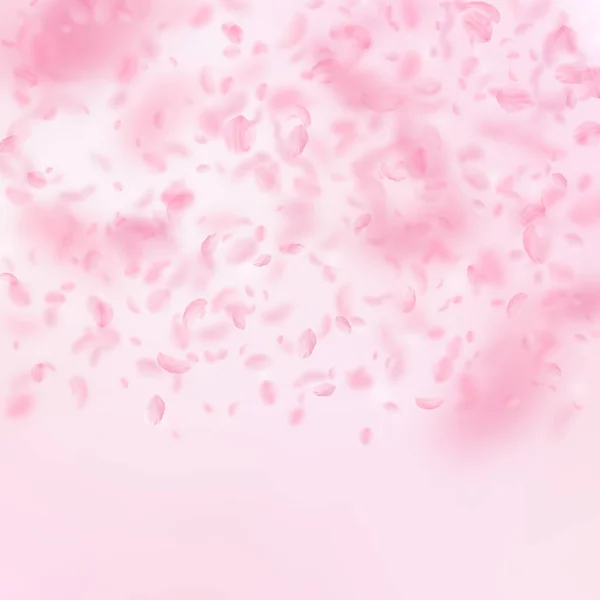 Sakura bloemblaadjes vallen. Romantische roze bloemen kleurovergang. Vliegende bloemblaadjes op roze vierkante achtergrond. — Stockvector