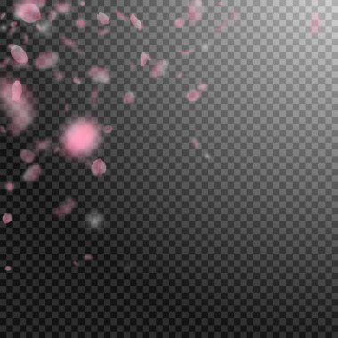 Sakura yaprakları aşağı düşen. Romantik pembe çiçekler köşesi. Şeffaf kare backgr üzerinde uçan yaprakları