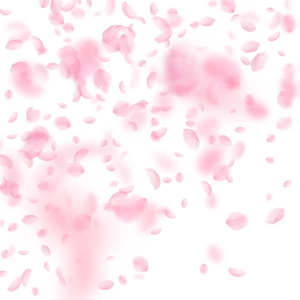 Sakura lístky padající. Romantické růžové květy přechod. Letící květy na bílém pozadí náměstí — Stockový vektor