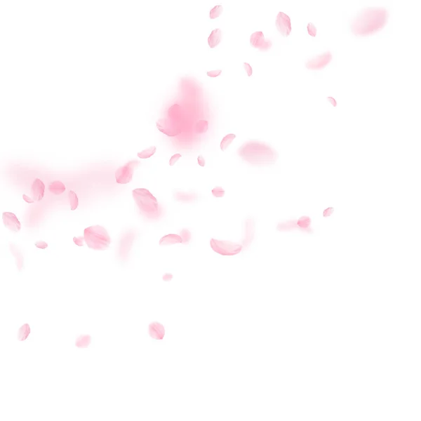 Pétalos Sakura cayendo. Rincón de flores rosas románticas. Pétalos voladores sobre fondo cuadrado blanco. — Vector de stock
