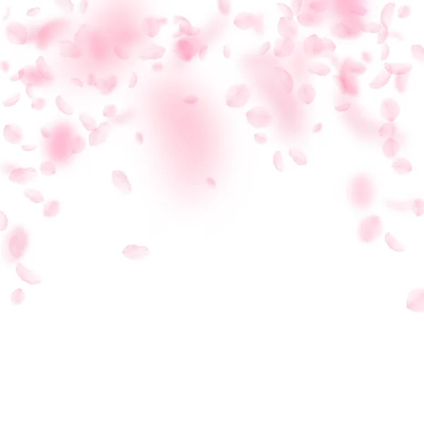 Pétalos Sakura cayendo. Flores rosas románticas cayendo lluvia. Pétalos voladores sobre fondo cuadrado blanco — Vector de stock