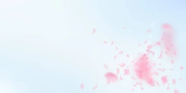 Sakura petals falling down. Romantic pink flowers explosion. Flying petals on blue sky wide backgrou — Stock Vector