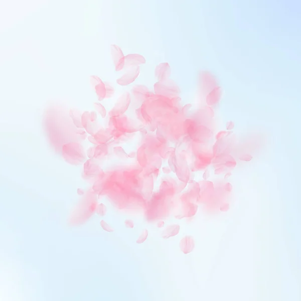 Sakura-Blütenblätter fallen herunter. romantische rosa Blüten explodieren. Fliegende Blütenblätter am blauen Himmel — Stockvektor