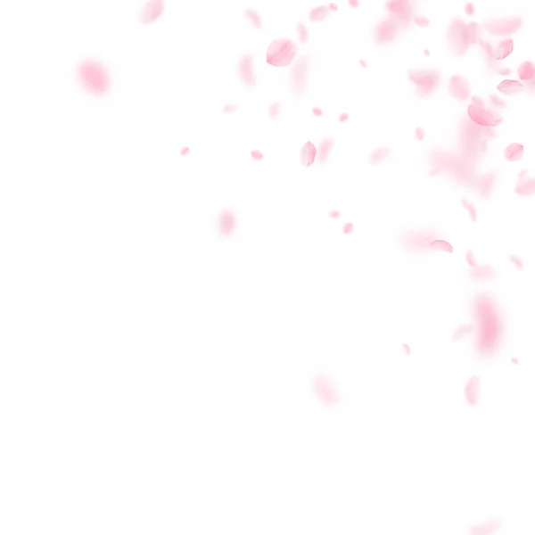 Sakura-Blütenblätter fallen herunter. Romantische rosa Blumen Ecke. Fliegende Blütenblätter auf weißem quadratischen Hintergrund. — Stockvektor