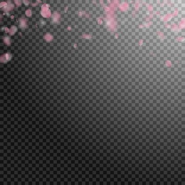 Sakura yaprakları aşağı düşen. Romantik pembe çiçekler degrade. Şeffaf Meydanı geri uçan yaprakları