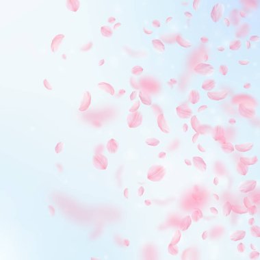 Sakura yaprakları aşağı düşen. Romantik pembe çiçekler degrade. Mavi gökyüzü kare backgro üzerinde uçan yaprakları