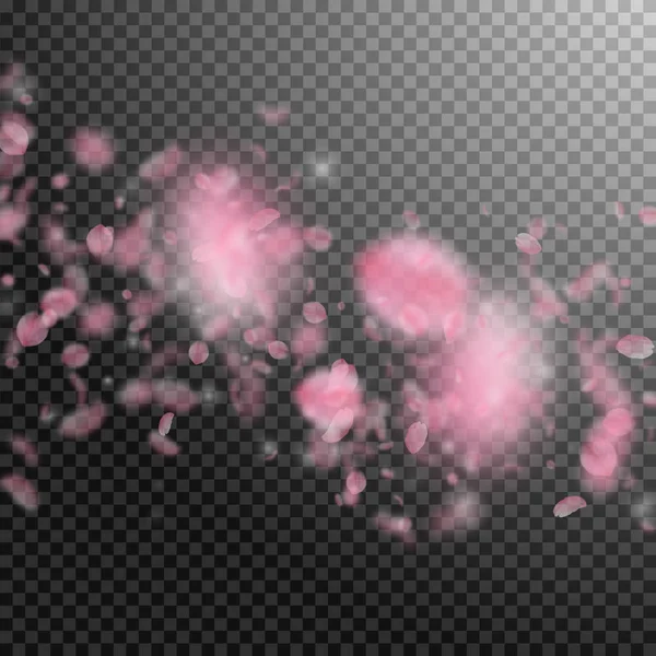 Sakura πέταλα που πέφτουν. Ρομαντικό ροζ λουλούδια που πέφτουν βροχή. Πετώντας πέταλα σε διάφανο τετράγωνο — Διανυσματικό Αρχείο