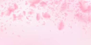 Sakura yaprakları aşağı düşen. Yağmurun romantik pembe çiçekler. Pembe geniş adam üzerinde uçan yaprakları