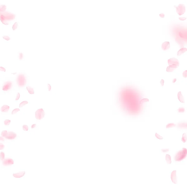 Sakura lístky padající. Romantické růžové květy hranice. Letící květy na bílém pozadí náměstí. — Stockový vektor