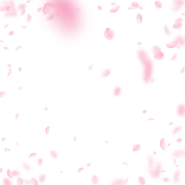 Sakura kronblad faller ner. Romantisk rosa blommor vinjett. Flygande blomblad på vit fyrkantig bakgrund — Stock vektor