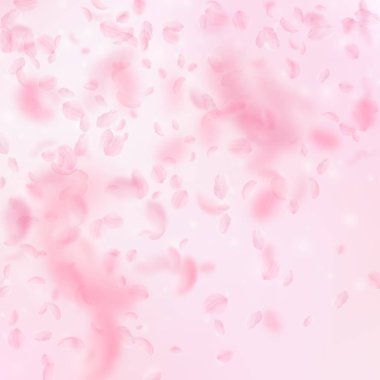 Sakura yaprakları aşağı düşen. Romantik pembe çiçekler degrade. Pembe kare zemin üzerinde uçan yaprakları.