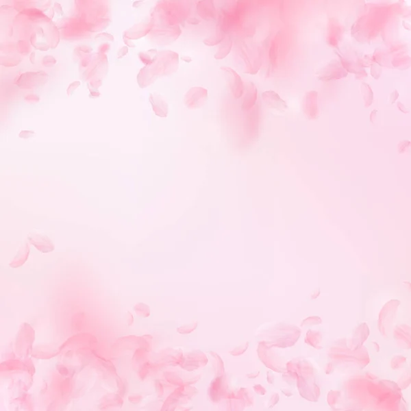 Sakura kronblad faller ner. Romantiska rosa blommor — Stock vektor