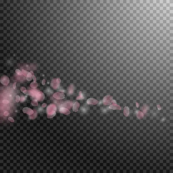 Лепестки Сакуры падают. Романтические розовые цветы кометы. Летающие лепестки на прозрачном квадратном бэкгро — стоковый вектор