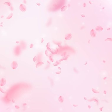 Sakura yaprakları aşağı düşen. Romantik pembe çiçekler patlama. Pembe kare zemin üzerinde uçan yaprakları