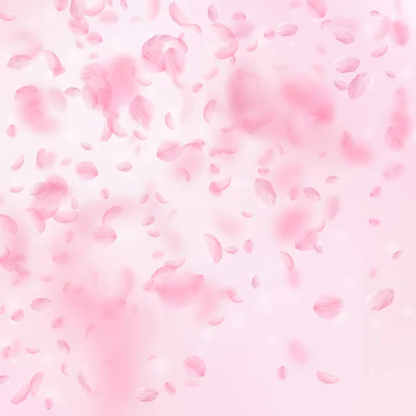 Pétalas Sakura a cair. Gradiente de flores rosa romântico. Pétalas voadoras sobre fundo quadrado rosa . — Vetor de Stock