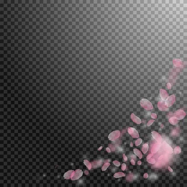 Sakura πέταλα που πέφτουν. Γωνία ρομαντικό ροζ λουλούδια. Πετώντας πέταλα σε διάφανο τετράγωνο έκφραση — Διανυσματικό Αρχείο