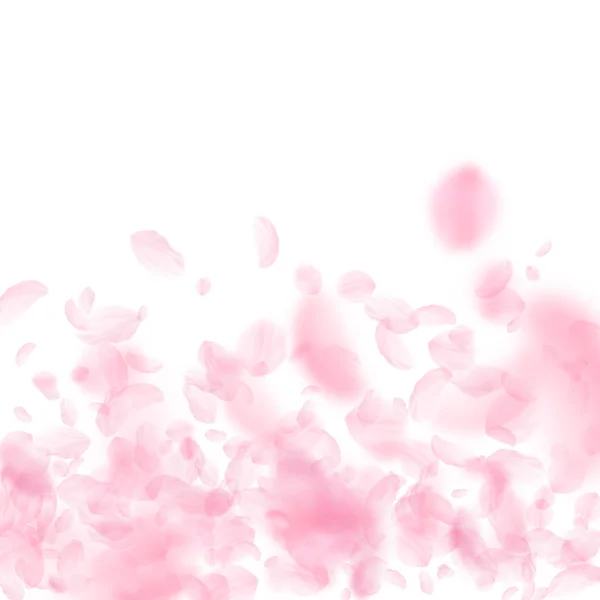 Sakura-Blütenblätter fallen herunter. romantische rosa Blüten Steigung. fliegende Blütenblätter auf weißem quadratischen Hintergrund — Stockvektor