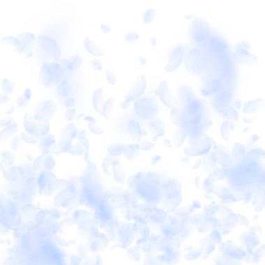 Açık mavi çiçek yaprakları dökülüyor. Kusursuz Ro