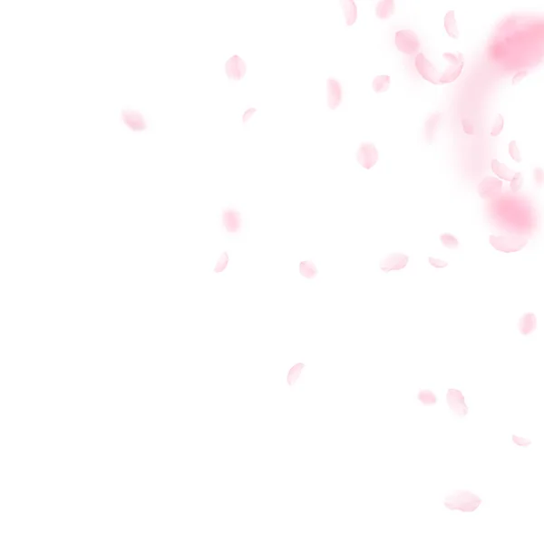 Kelopak Sakura jatuh. Romantis bunga merah muda - Stok Vektor