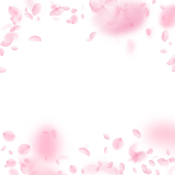 Sakura bloemblaadjes vallen. Romantische roze bloemen vallende regen. Vliegende bloemblaadjes op witte vierkante backgr — Stockvector