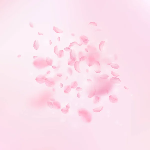 桜の花びらが落ちています。ロマンチックなピンクの花の爆発。ピンクの正方形の背景に花びらを飛んでください。 — ストックベクタ