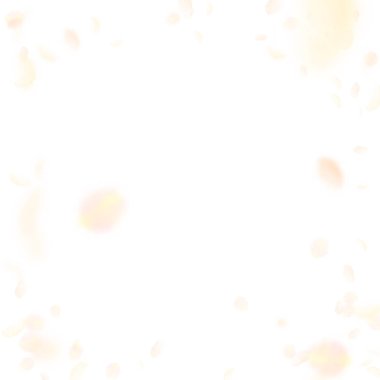 Aşağı düşen sarı turuncu çiçek yaprakları. Manyetik romantik çiçek skeç. Petal beyaz üzerinde uçan 