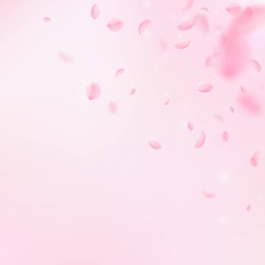 Sakura yaprakları aşağı düşen. Romantik pembe çiçekler köşesi. Yaprakları pembe kare arka plan üzerinde uçan. L